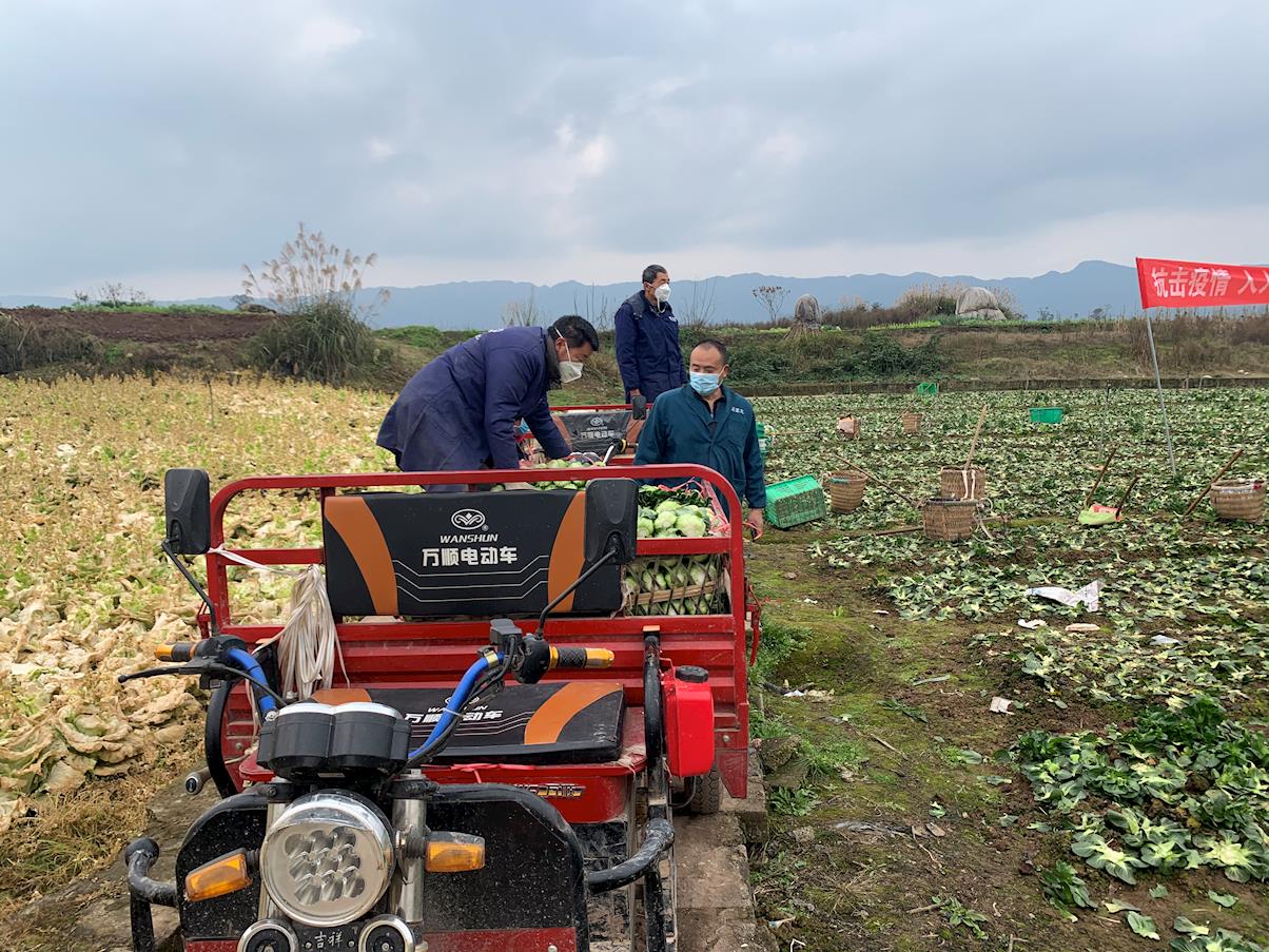 258965c487d64fb68ff53a2ace899191.jpg 258965c487d64fb68ff53a2ace899191.jpg