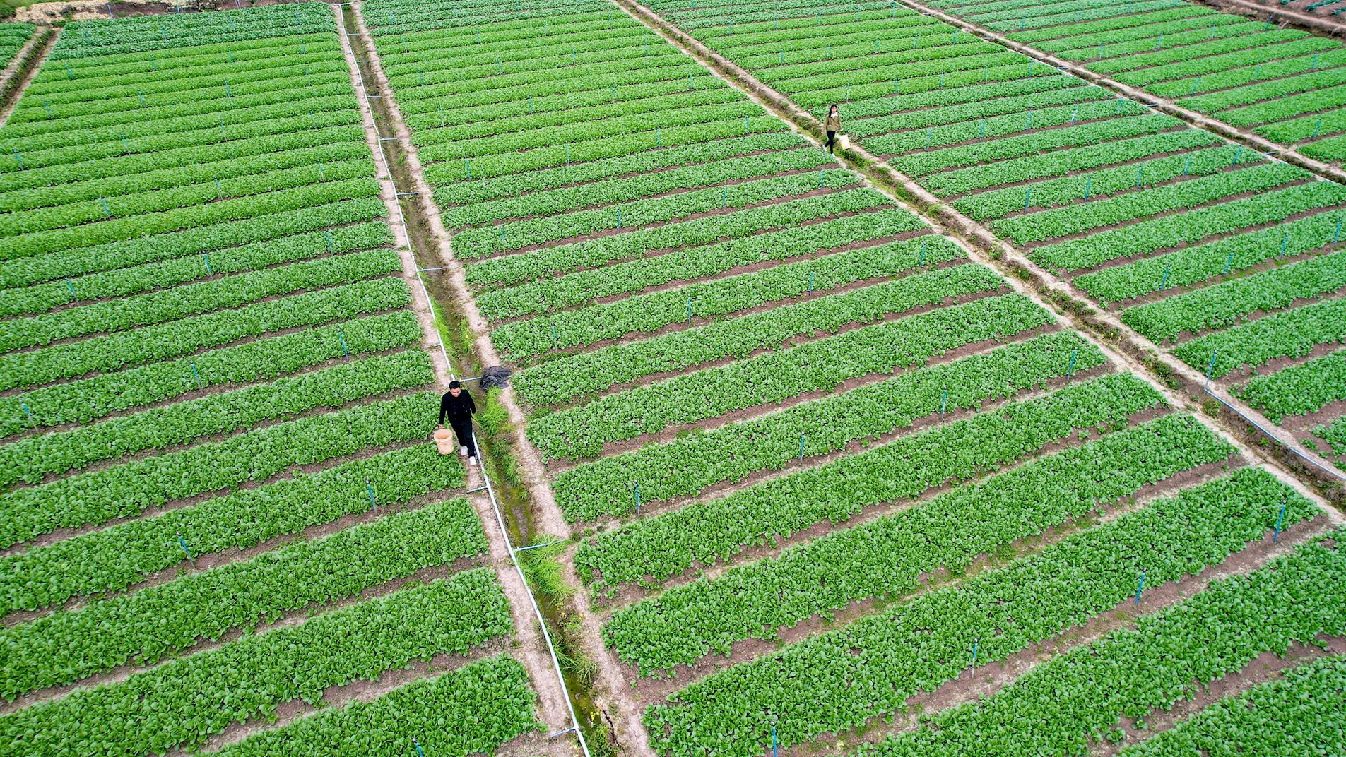 7f4e7b82a0424a6b9d79bb81d4eb1414.jpg 7f4e7b82a0424a6b9d79bb81d4eb1414.jpg