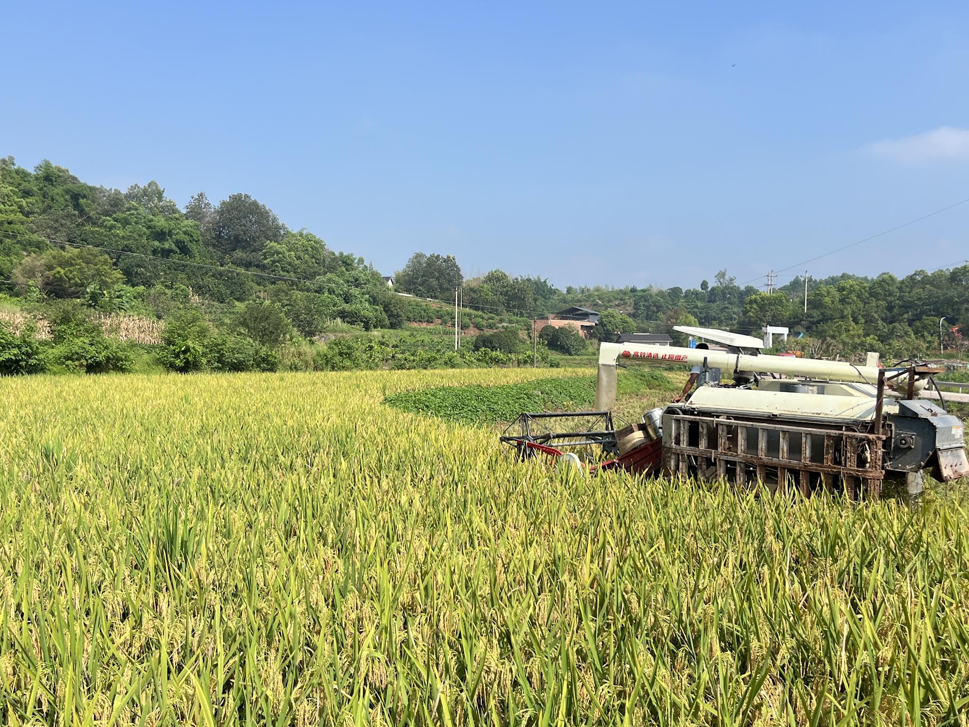 ab3a7a56ccd749578c26541ca2c9055c.jpg ab3a7a56ccd749578c26541ca2c9055c.jpg