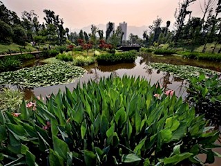 南河公園（濕地）