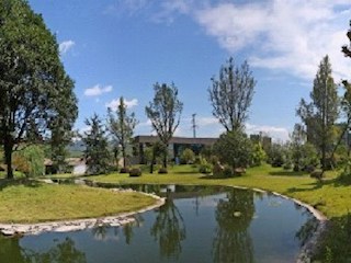 藍黛公司廠區(qū)