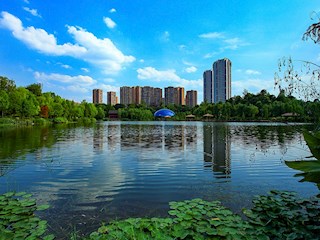 觀音塘濕地公園